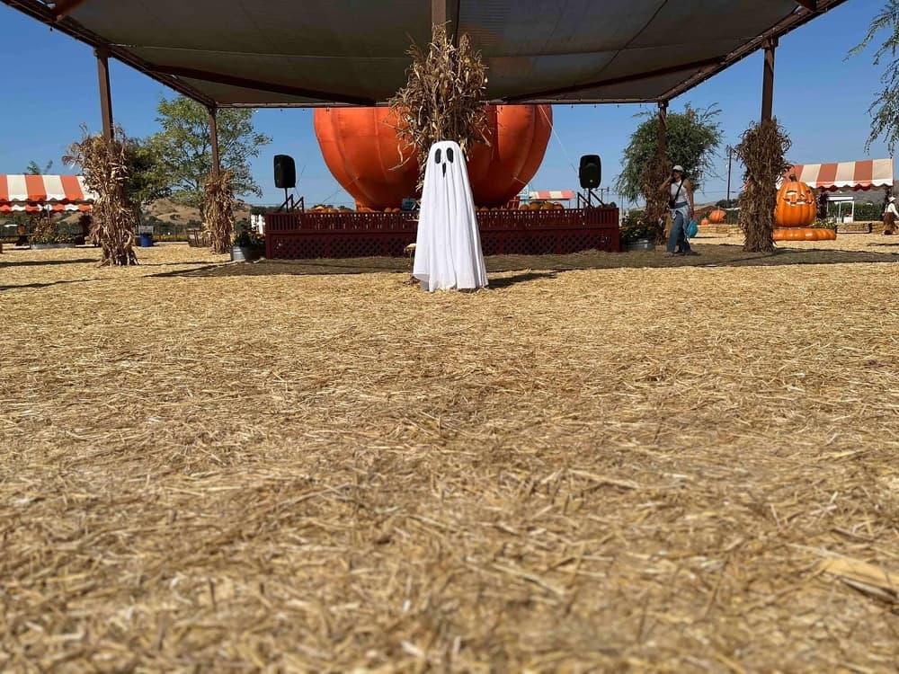 The Kisses Underwater